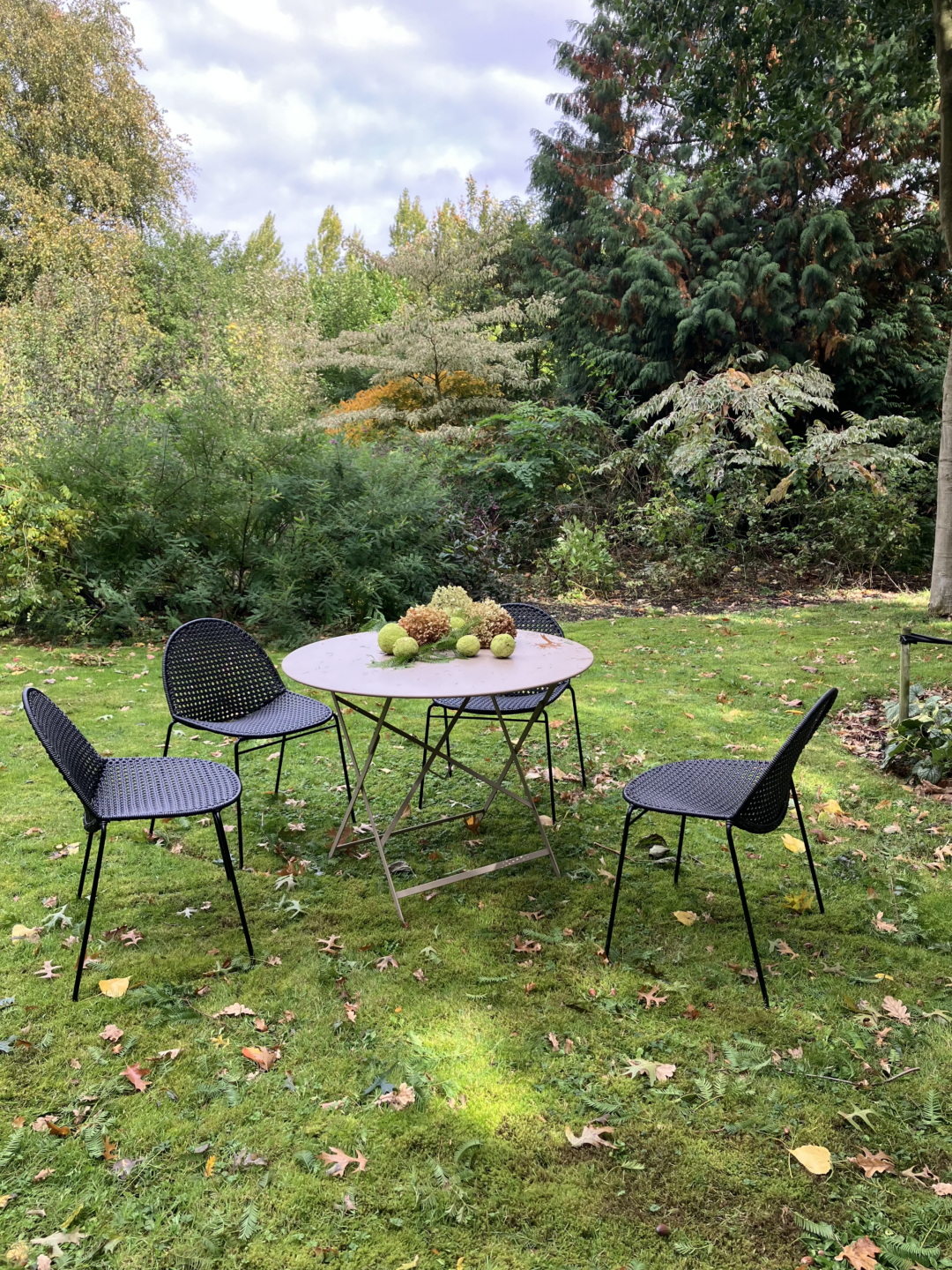Reef chair outdoor • outlet